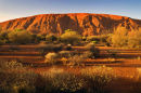 Uluru early morning